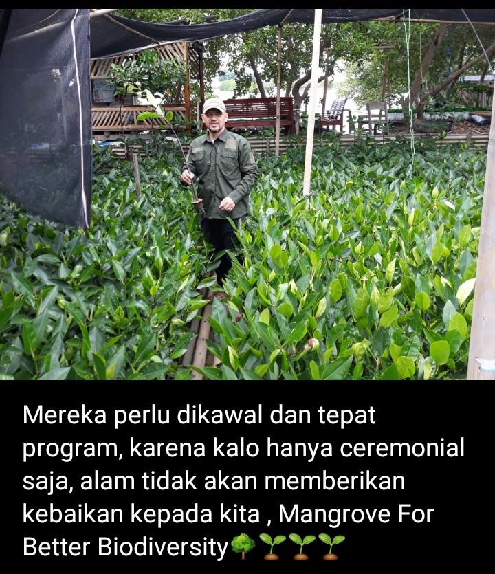 paket_kelas